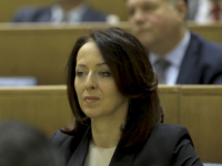 MALO JE OSAM SLUŽBENIH AUTOMOBILA U NJENOM MINISTARSTVU: Dubravka Bošnjak naručila još jedan, vrijedan 130.000 maraka