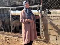 NASILJE NAD PALESTINCIMA: 'Oni haraju, ruše, terorišu nas, nikog nije briga za nas'