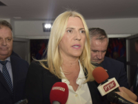 ŽELJKA CVIJANOVIĆ NAPALA SCHMIDTA: 'Njegov izvještaj vrvi od laži i manipulacija!'
