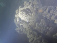 FASCINANTNI PRIZORI: Izgubljeni Grad lavova godinama je bio zaboravljen na dnu jezera, a sada je otvoren za turiste…