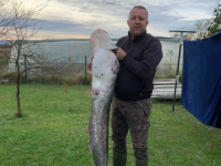 NESVAKIDAŠNJI PLIJEN: Nedžad Kovačević ulovio soma teškog 25 kilograma! (FOTO)