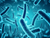 RODILA SE NOVA NADA: Otkriveni novi spojevi učinkoviti protiv bakterija otpornih na lijekove…
