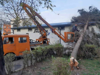 SNAŽAN VJETAR OBARAO STABLA U BANJALUCI: Upućen apel građanima (FOTO)