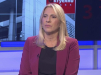 CVIJANOVIĆ RAZOČARANA ODLUKOM EU: 'Poslali su lošu poruku, upitne namjere prema BiH!' (VIDEO)