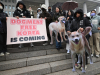 POMAGALO IM DA IZDRŽE TOKOM VLAŽNIH LJETA: Južna Koreja zabranjuje konzumaciju psećeg mesa