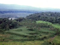 OTKRIĆE KOJE MIJENJA POGLED NA SVE ŠTO SMO ZNALI: Ogroman drevni grad prekriven vegetacijom otkriven u amazonskim šumama