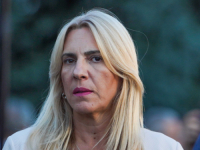 HELEZ DUBOKO ZABRINUO ŽELJKU CVIJANOVIĆ: 'Iz njegove izjave se vidi potreba da se...'