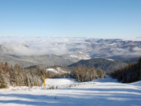 UNIŠTAVANJE PRIRODNIH RESURSA U REŽIJI DODIKOVOG SNSD-a: Pravobranilaštvo Bosne i Hercegovine istražuje nepravilnosti u prodaji državne imovine na Jahorini