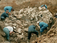 SB RASKRINKAVA DODIKOVE LAŽI BAZIRANE NA DEZINFORMACIJAMA: Šta su radile jedinice Vojske Jugoslavije, MUP-a i DB-a Srbije tokom rata u Srebrenici