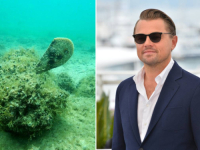 NAKON BiH, HOLIVUDSKI GLUMAC ŽELI SPASITI I HRVATE: Ukazao na problem s kojim se suočava ta zemlja (VIDEO)