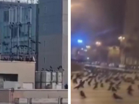 ČUDNO PONAŠANJE ŽIVOTINJA PRIJE ZEMLJOTRESA U JAPANU: 'Pogledajte ih, upozoravaju ljude na katastrofu' (VIDEO)