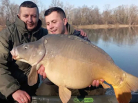 ULOV ZA PAMĆENJE: U Bosni i Hercegovini upecali šarana kapitalca, odmah su ga...