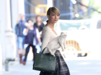 VJEROVALI ILI NE: Mačka Taylor Swift bogatija je od njezinog sadašnjeg partnera (FOTO)