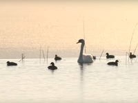 SKRIVENI RAJ NA SJEVERU BOSNE I HERCEGOVINE: Netaknuta priroda, raznovrsna i autohtona flora i fauna - jedna od 100 top priča zelenih destinacija svijeta…