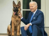 UTJERAO IM STRAH U KOSTI: Otkriveno koliko puta je Bidenov pas ugrizao pripadnike tajne službe...