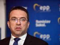 HDZ-ov EUROPARLAMENTARAC ZAPJENIO, NIJE MU DOBRO: 'Dosta je bilo podržavanja islamizma u Evropi'