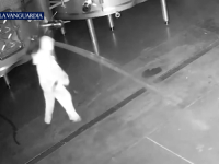 UNIŠTIO DESETINE HILJADA LITARA VINA: Provalnik ušao u vinariju i napravio višemlionsku štetu... (VIDEO)