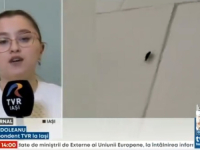 SKANDAL U BOLNICI U KOJOJ JE UMRLA MLADA TRUDNICA: Posvuda gamižu bubašvabe... (VIDEO)