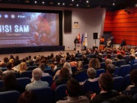 FILM 'NISI SAM' PRIKAZAN U SARAJEVU: Svjedočenja bh. spasilaca iz zemljotresom pogođenih turskih regija