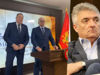 MIODRAG VLAHOVIĆ NAKON DODIKOVE POSJETE: 'Ko sada iz opozicije može biti protiv inicijative za smjenu Mandića?'