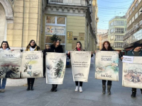 MIRNI PROTESTI U SARAJEVU: 'SB' pisala o krčenju šuma i nezakonitostima, građani složni da nam treba Zakon o šumama