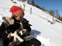 OVA DIVNA DJEVOJKA BRINE ZA 150 KRAVA, OVACA I KOZA: Prelijepu čobanicu porede sa Heidi, hladnoće i posla se ne plaši (FOTO)