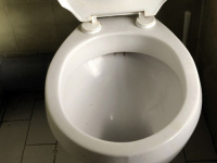 GOTOVO SVI PRAVIMO VELIKU GREŠKU: Ukoliko na dasku wc šolje stavljate toalet papir ili ne spuštate poklopac - ovo trebate znati...