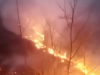 SARAJEVSKI VATROGASCI SE BORE SA VATRENOM LINIJOM DUGOM DVA KILOMETRA: Ogroman požar prema Bjelašnici (VIDEO)