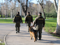 ONI SAMO ČEKAJU TRENUTAK DA SE USPANIČE: Nakon dugih cijevi i Vojna policija na ulicama Beograda