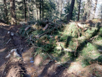 ISKUSNI PLANINAR UPOZORIO: Sve planinarske staze sa sjeverne strane Trebevića su potpuno devastirane