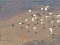 NAPAD VISOKE PRECIZNOSTI: Tri ukrajinska helikoptera sletjela u blizini fronta, pogledajte šta se dogodilo... (VIDEO)