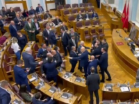 UMALO TUČA U CRNOGORSKOM PARLAMENTU: 'Rekli ste da je značaj ovog grada to što je u njemu rođen Aleksandar Karađorđević, onaj koji je...' (VIDEO)