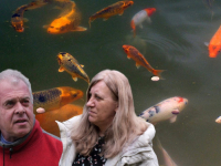 ODUŠEVLJEN NAŠOM ZEMLJOM: Nijemac u Bosni uzgaja japanske šarane, najskuplje ribe na svijetu (VIDEO)