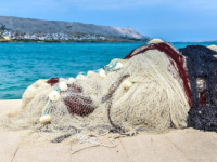 U JADRANU SE POJAVILA NOVA VRSTA RIBE: 'Prije te ništa nije moglo ubiti, a sada postoji opasnost'