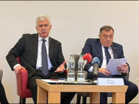 'HERCEG-BOSANSKI' PORTAL ODUŠEVLJEN: 'Čović je u Beču bio uz Dodika. Raskrinkao je bošnjačku unitarističku politiku!'