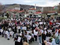'HISTORIJA NE PAMTI OVAKAV VID BRUTALNOSTI': Više stotina okupljenih u Novom Pazaru iskazali protest i poslali podršku narodu Palestine