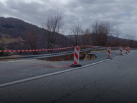 HAOS NA BRADINI: Zbog nelegalne sječe šume propada cesta prema Hercegovini