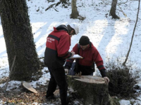 TUŽNA VIJEST IZ ITALIJE: Poginuo radnik iz Bosne i Hercegovine