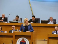 UŽARENA RETORIKA NA SJEDNICI NSRS: Cvijanović optužila Izetbegovića da je 90-ih dočekao 'hiljade islamskih ekstremista' u BiH