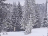 PRIZORI KAO IZ DECEMBRA: Bh. planina prekrivena snijegom pred kraj aprila (VIDEO)