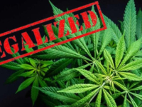 JEDINI OTPOR 'CRNO TRŽIŠTE': Legalizacija kanabisa u BiH izvijesna, institucije saglasne