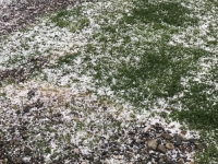 LED ZABIJELIO DIJELOVE BOSNE I HERCEGOVINE OVO POPODNE: Riječ je o Gradačcu i...