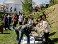 'BILJKA ZA OSMIJEH RODITELJA I DJETETA': Uz pomoć dobrih ljudi zasijalo dvorište Roditeljske kuće Sarajevo