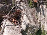 TREĆI SLUČAJ U ISTOM MJESECU: Devastirana nekropola stećaka kod Breze