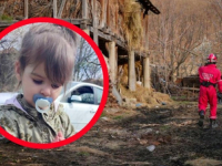 FORENZIČAR O NESTALOJ DANKI ILIĆ: 'Zabrinjava to što je prošlo puno vremena, pitanje je šta je brat vidio tog dana...'