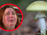 PODIGNUTA OPTUŽNICA PROTIV ŽENE IZ AUSTRALIJE: Porodici bivšeg muža za ručak servirala otrovne gljive, troje umrlo