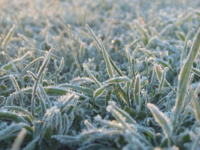 METEROLOZI UPOZORILI POLJOPRIVREDNIKE: Stiže mraz, zaštite osjetljive biljne kulture