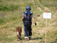 OKRUŽENI MINIRANOM PRIRODOM: Velike površine TK pod minama iako je od rata prošlo 30 godina - 'Ali, nema ni deminera, niko da...'