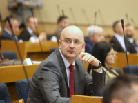 SRĐAN MAZALICA U NSRS-u: 'Da nije Schmidta i kvalifikacije genocid, Vlada RS bi i danas polagala cvijeće žrtvama Srebrenice'
