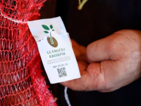 STOLJEĆIMA SE NJEGUJE: Zaštita geografskog porijekla - glamočki krompir postaje brend